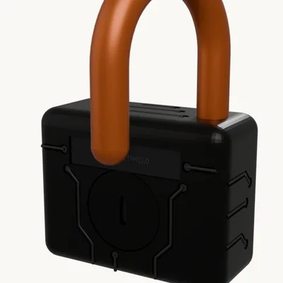 The same padlock with its shackle lifted and swung open